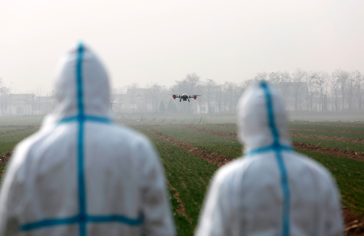 2019年3月3日，陕西省渭南市一处麦田里，技术人员正在操作无人机进行小麦春季化学除草作业。(崔正博/人民图片)