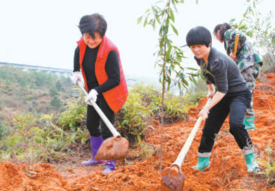 沈腾香（左一）正带着村民一起劳作。（来源：丘嘉瑞/人民视觉）