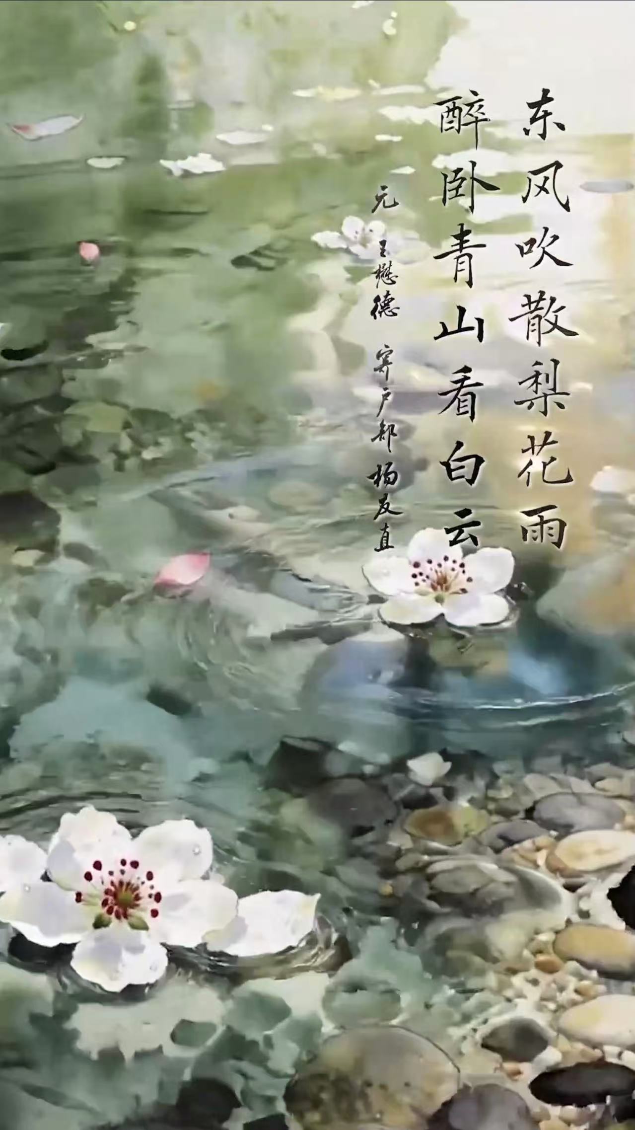 /