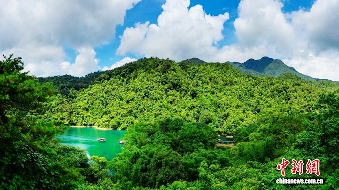 鼎湖山国家级自然保护区蝴蝶谷。广东省林业局
